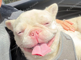 Beautiful albino boy