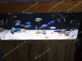 Please read 150gal tank