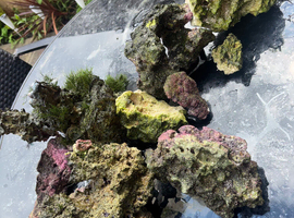 Bundle Of Marine Rock