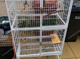 Bird cage (without tray) and pets cage