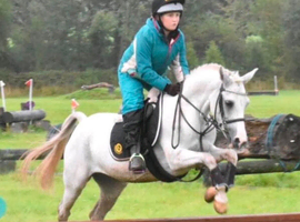 Fun pony