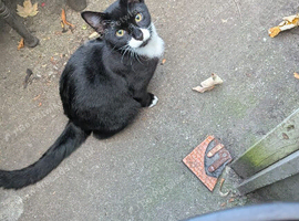Black and white 6months old girl