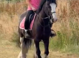 ** Mother/ daughter share**