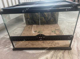 Reptile enclosure