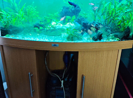 Selling 190 Juwel Tank + Oase Bio Master filter