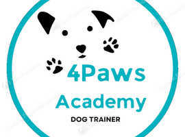 Dog training classes