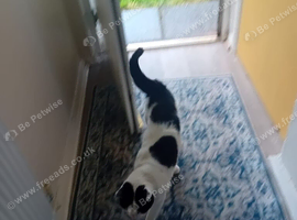 Need to rehome