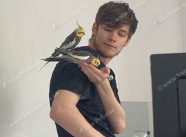 Got room to take in unwanted birds