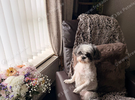 Rehome