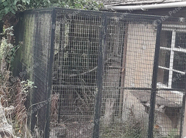 LARGE GALVANISED CATIO/KENNEL/AVIARY 6M X 1.8M X 1.8M POWDER COATED BLACK WITH LOCkABLE DOOR & ROOF PANELS