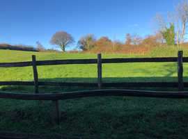 Stable & Grazing near Plymouth