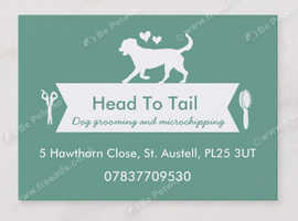 Professional microchipping service