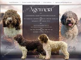 Spanish Water Dog RKC register