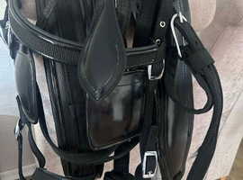 Cob size driving harness