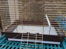 New cage