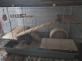 Female with her large cage
