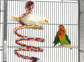 Yaheetech Large African Grey Parrot Bird Cage for Budgies/Conures/Parakeets with Detachable Stand