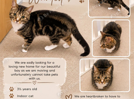 Rehome