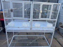 Cockatiels and double cage