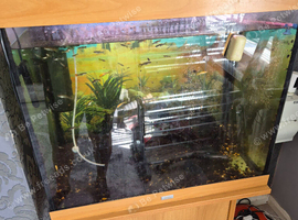 Jewel fishtank