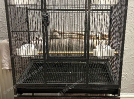 Bird cage