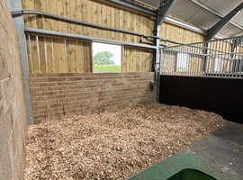 New livery yard in Newmarket