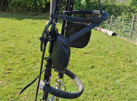 Driving harness