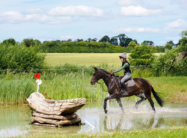 Quality thoroughbred mare out eventing