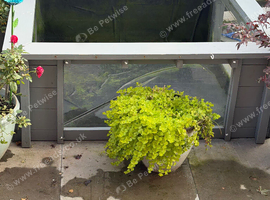 Full pond set up for sale