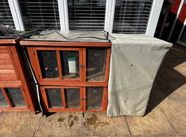 Female rabbit forsalwwith hutch