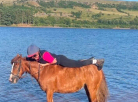 *** MOTHERS DREAM PONY ***