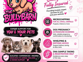 Pet microchipping