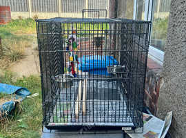 Pet travel cage