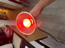 Exo Terra Heat Lamp