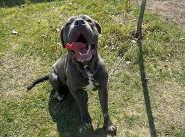 Lovely boy