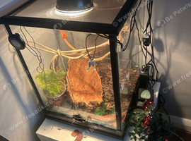 Exo Terra 45x45x60