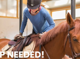 BHS Qualified Freelance Instructor Wanted &ndash; Cornwall
