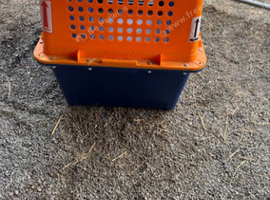 Large dog crate