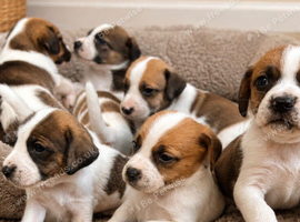 Beautiful babies