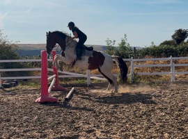 16&rsquo;3 ID mare bfg