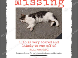MISSING AVENUE VIVIAN HOUGHTON LE SPRING
