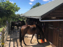 DIY livery yard Dodford