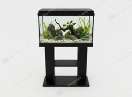 Looking for fish tank set up
