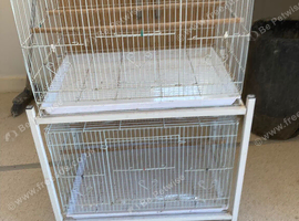 Double bird cage on castors
