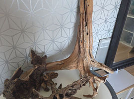 Bogwood