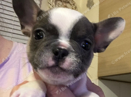 Super tiny girl