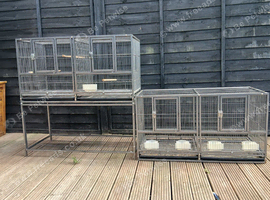 Breeding cages and budgies for sale.