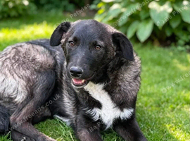 MEET JEMMI &ndash; A GENTLE GIRL WHO JUST NEEDS A LITTLE TIME