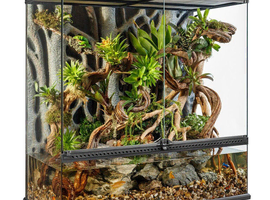 Exoterra vivariums