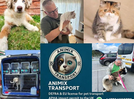 Pets Transport UK, EU